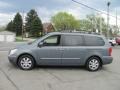 2008 Green Meadow Gray Hyundai Entourage GLS  photo #5