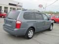 2009 Olive Gray Kia Sedona LX  photo #3