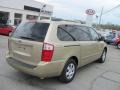 2009 Cashmere Kia Sedona LX  photo #4