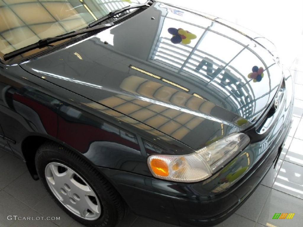 1999 Corolla LE - Dark Emerald Pearl / Pebble Beige photo #14