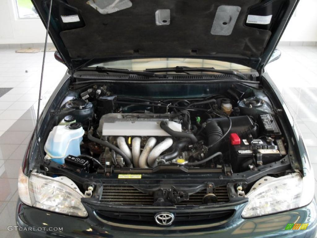 1999 Corolla LE - Dark Emerald Pearl / Pebble Beige photo #16