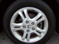 2007 Royal Blue Pearl Honda Accord EX Sedan  photo #9