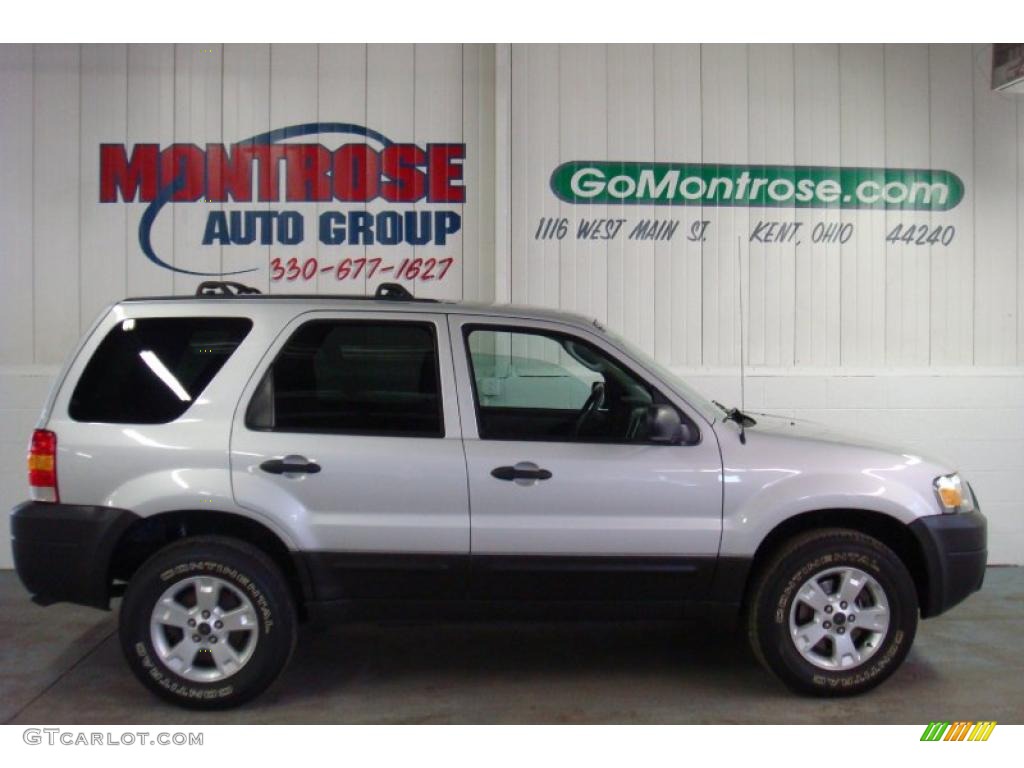 2005 Escape XLT V6 4WD - Silver Metallic / Medium/Dark Flint Grey photo #1