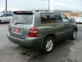 Oasis Green Pearl - Highlander V6 4WD Photo No. 4