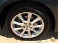 Carbon Gray Pearl - TSX Sedan Photo No. 41