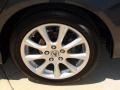 Carbon Gray Pearl - TSX Sedan Photo No. 42