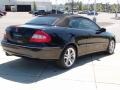 Black - CLK 350 Cabriolet Photo No. 19