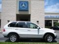 Alpine White - X5 3.0i Photo No. 5
