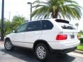 Alpine White - X5 3.0i Photo No. 8