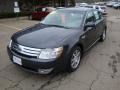 Alloy Grey Metallic - Taurus SEL Photo No. 11
