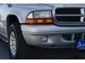 2001 Bright Silver Metallic Dodge Durango SLT 4x4  photo #3