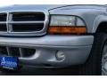 2001 Bright Silver Metallic Dodge Durango SLT 4x4  photo #4