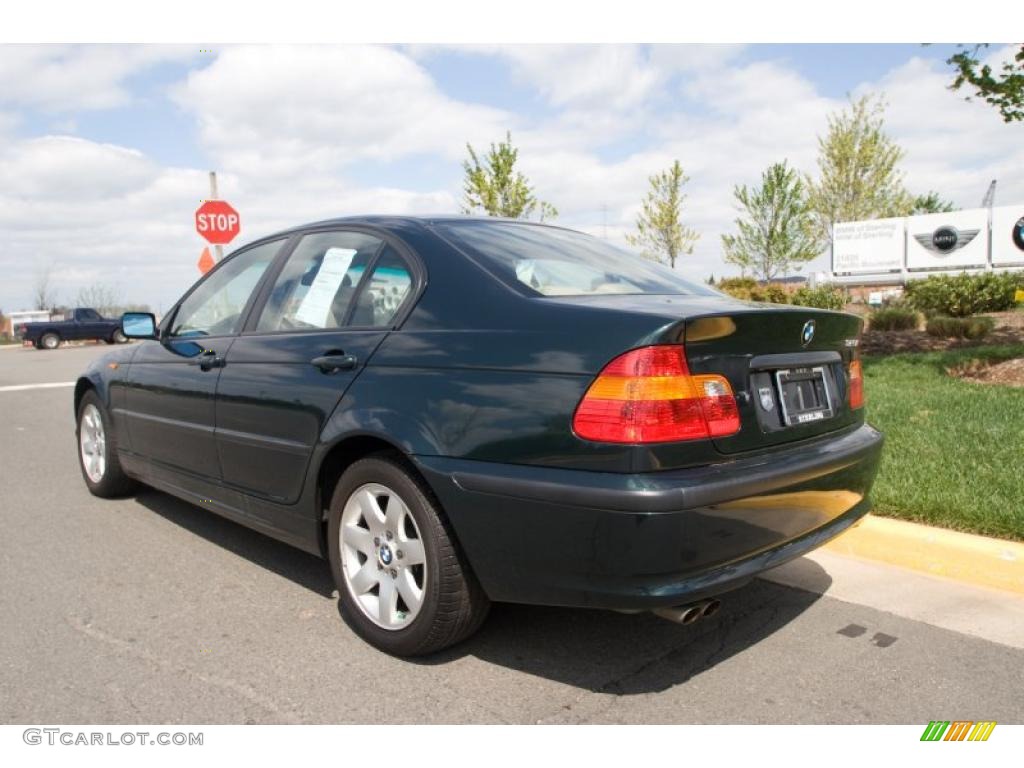2003 3 Series 325i Sedan - Oxford Green Metallic / Beige photo #4
