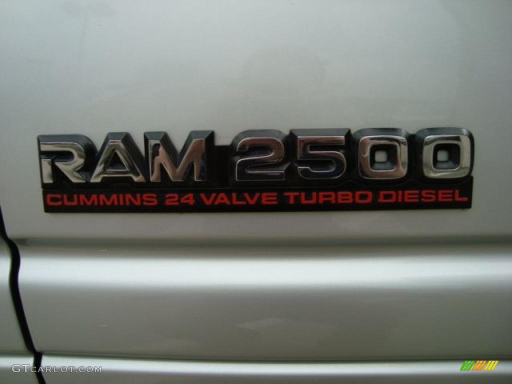 2002 Ram 2500 ST Regular Cab - Bright Silver Metallic / Agate photo #27