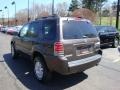 Charcoal Beige Metallic - Mariner Luxury Photo No. 2