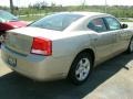 Light Sandstone Metallic - Charger SXT Photo No. 6