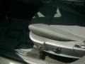 Light Sandstone Metallic - Charger SXT Photo No. 19