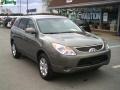 Natural Khaki Metallic - Veracruz Limited AWD Photo No. 1