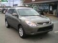 2008 Natural Khaki Metallic Hyundai Veracruz Limited AWD  photo #1