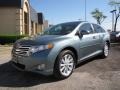 Aloe Green Metallic - Venza I4 Photo No. 3