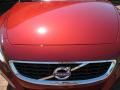 Flamenco Red Metallic - C70 T5 Photo No. 3