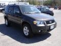 2007 Tungsten Grey Metallic Ford Escape XLT  photo #3