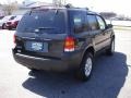 2007 Tungsten Grey Metallic Ford Escape XLT  photo #4