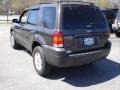 2007 Tungsten Grey Metallic Ford Escape XLT  photo #6