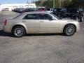 Linen Gold Metallic - 300 Touring Photo No. 7