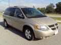 Linen Gold Metallic - Grand Caravan SXT Photo No. 11