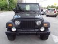 Black - Wrangler Unlimited 4x4 Photo No. 12