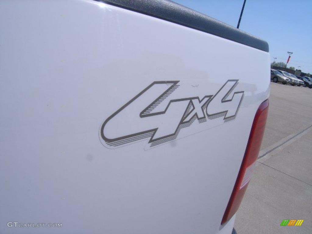 2004 F150 Lariat SuperCrew 4x4 - Oxford White / Tan photo #12