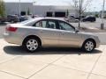 Camel Pearl - Sonata GLS Photo No. 5
