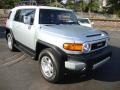 Titanium Metallic - FJ Cruiser 4WD Photo No. 4