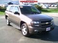 2008 Desert Brown Metallic Chevrolet TrailBlazer LT 4x4  photo #23