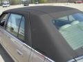 Bronzemist - DeVille Sedan Photo No. 12