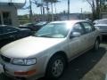 Pebble Beige Metallic - Maxima SE Photo No. 20