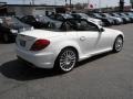 Alabaster White - SLK 55 AMG Roadster Photo No. 5