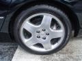 Black Onyx - LS 430 Sedan Photo No. 4