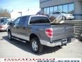 2010 Sterling Grey Metallic Ford F150 XLT SuperCrew 4x4  photo #8