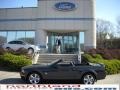 2009 Alloy Metallic Ford Mustang GT Premium Convertible  photo #1