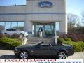 Alloy Metallic 2009 Ford Mustang GT Premium Convertible