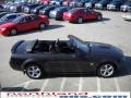 2009 Alloy Metallic Ford Mustang GT Premium Convertible  photo #5