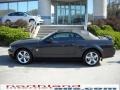 Alloy Metallic - Mustang GT Premium Convertible Photo No. 9