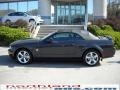 2009 Alloy Metallic Ford Mustang GT Premium Convertible  photo #9