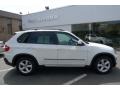 Alpine White - X5 3.0si Photo No. 1