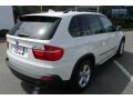Alpine White - X5 3.0si Photo No. 13