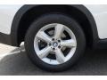 Alpine White - X5 3.0si Photo No. 15
