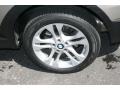 Platinum Bronze Metallic - X3 3.0si Photo No. 21