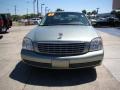Light Platinum - DeVille Sedan Photo No. 3